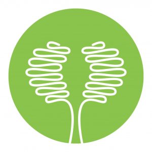 PRINE Health-Logo